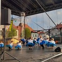 Festiwal Górnej Odry w Wodzisławiu Śląskim (19)