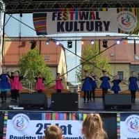 Powiatowy Festiwal Kultury w Wodzisławiu Śląskim (6)