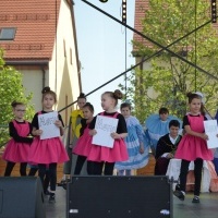 Powiatowy Festiwal Kultury w Wodzisławiu Śląskim (2)