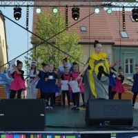 Powiatowy Festiwal Kultury w Wodzisławiu Śląskim (7)