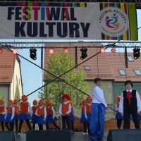Powiatowy Festiwal Kultury w Wodzisławiu Śląskim (1)