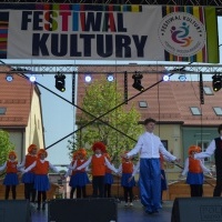 Powiatowy Festiwal Kultury w Wodzisławiu Śląskim (2)