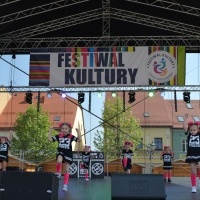 Powiatowy Festiwal Kultury w Wodzisławiu Śląskim (3)