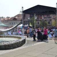 Powiatowy Festiwal Kultury w Wodzisławiu Śląskim (8)
