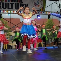 Festiwal Kultury Powiatu Wodzisławskiego (8)