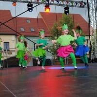 Festiwal Kultury Powiatu Wodzisławskiego (3)