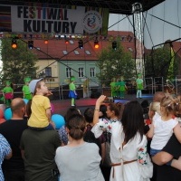 Festiwal Kultury Powiatu Wodzisławskiego (8)